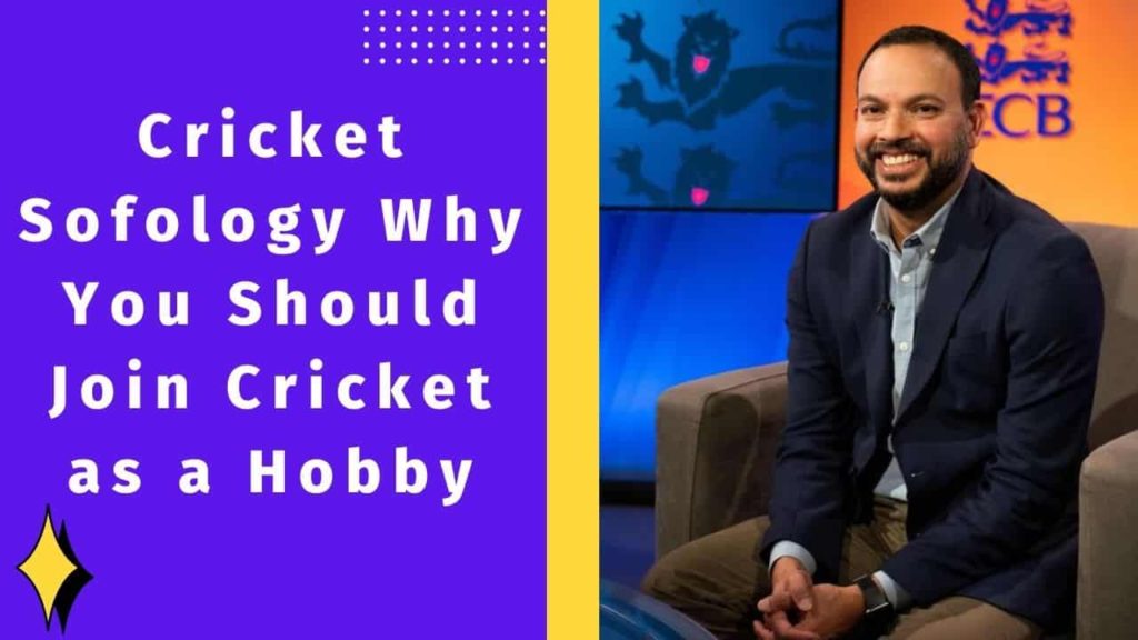 Cricket Sofology