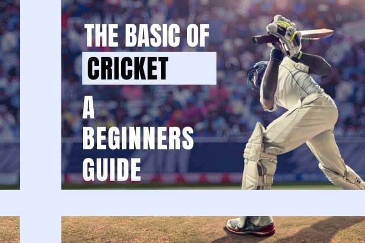 The Cricket Basic