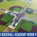 Indoor Baseball: The Easiest And Safest Way To Play Baseball At Home in 2024
