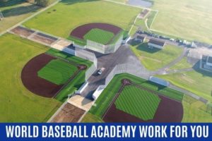 World Baseball Academy