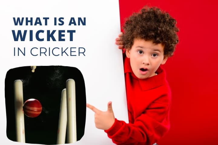 What is a Wicket in Cricket