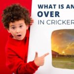 Experience the Excitement of a Florida Cricket Match in 2024