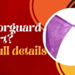 The Vibrant World of Colorguard: Colorguard Flags, Uniforms, and Equipment Full details in 24